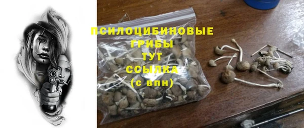 крисы Каменск-Шахтинский
