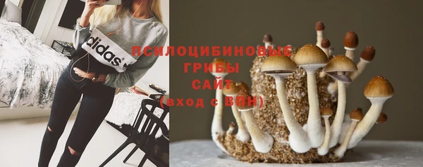 крисы Каменск-Шахтинский
