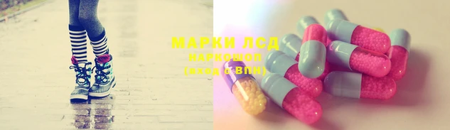 крисы Каменск-Шахтинский