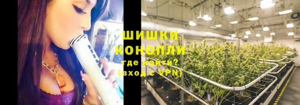 крисы Каменск-Шахтинский