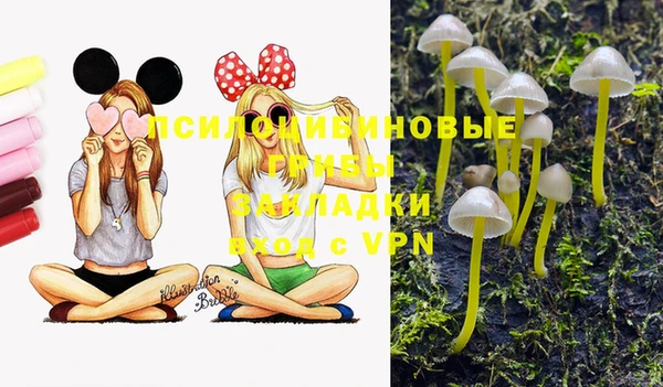 героин Каменка